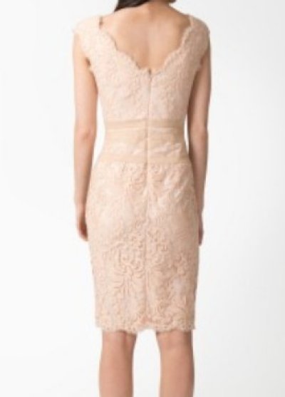 画像1: Tadashi Shoji   Scalloped-Neck Lace Cocktail Dress JUTE