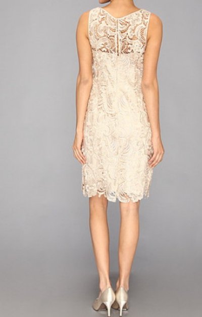 画像1: Adrianna Papell   Illusion Neck Lace Dress  CHAMPAGNE