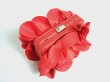 画像1: 【オリビア・パレルモ愛用】Sondra Roberts 　rose petal clutch レッド (1)