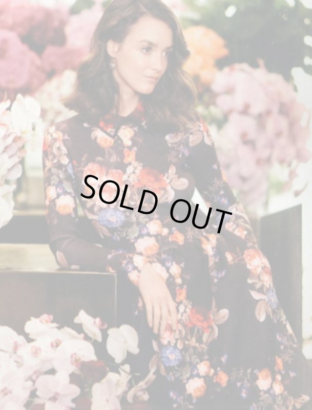 画像1: 【VOGUE掲載、Holland Roden、 Emmy Rossum愛用】ERIN erin fetherston　　Molly Dress　 (1)