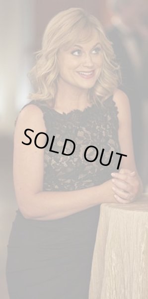 画像2: 【ドラマ使用】Tadashi Shoji  タダシショージ  Ruched Lace-Bodice Gown ブラック (2)