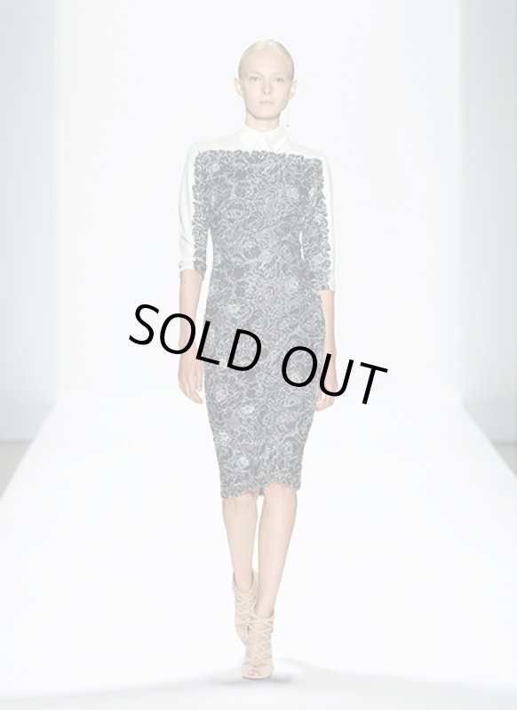 画像1: 【家庭画報掲載、押切もえさん着用】Tadashi Shoji タダシショージ   Lace Combo Shirtdress (1)