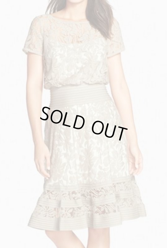 画像1: Tadashi Shoji     Embroidered Lace & Pintuck Blouson Dress フェザー (1)