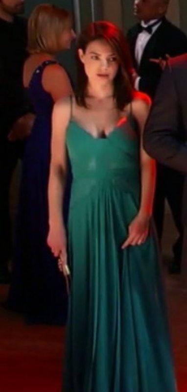 画像2: 【ドラマ使用】BCBGMAXAZRIA　　Antonea Lace Inset Georgette Gown (2)