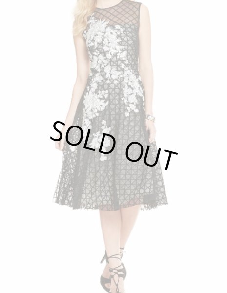 画像1: 【原田美枝子さん着用】Tadashi Shoji    　　Embroidered Illusion Midi Fit-and-Flare Dress (1)