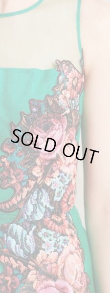 画像3: SACHIN & BABI   Coral Tree Dress  (3)