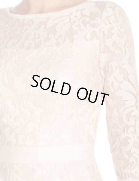 画像3: Tadashi Shoji       Lace Overlay Dress 　ピンク系 (3)