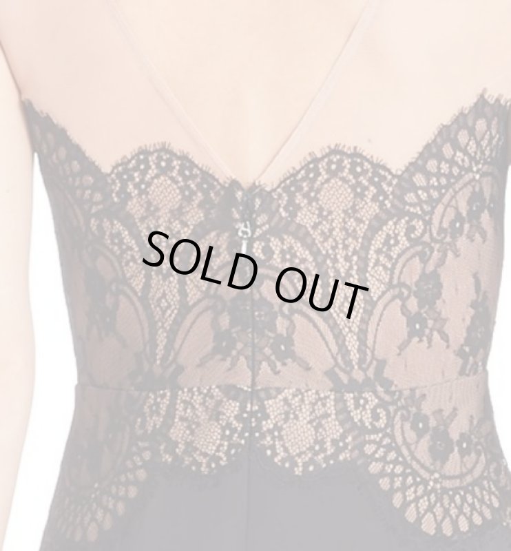 画像4: BCBGMAXAZRIA   　Illusion Lace Top Gown (4)