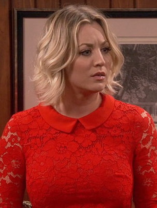 画像3: ドラマ【ビッグバンセオリー使用】Ted Baker テッドベイカー  Ameera  dress (3)