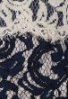 画像3: Tadashi Shoji   Vネック Two-Tone Lace Combo Gown ネイビー (3)