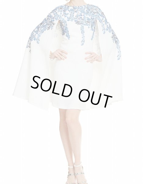 画像1: 【Katherine Mcnamara愛用】Tadashi Shoji    　Floral-Embroidered Cape Dress (1)