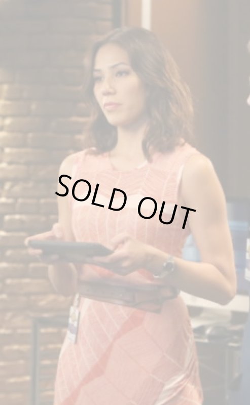 画像4: 【BONES使用、アンジェラ着用】BCBGMAXAZRIA 　　Mikela Printed Jersey Sheath Dress (4)