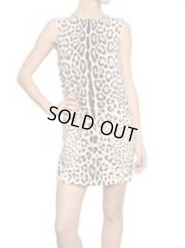画像2: 【ゴシップガール使用、ブレア着用】Dolce & Gabbana ドルチェ&ガッバーナ　leopard print chemise dress (2)