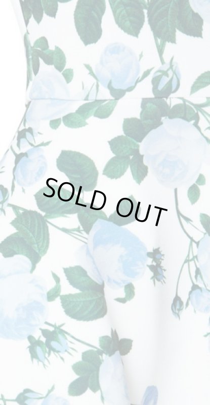 画像3: 1点のみ再販売！【内田有紀さん着用、雑誌掲載】ERIN erin fetherston エリンフェザーストン　Suzie Dress　アイボリーマルチ（ブルー） (3)