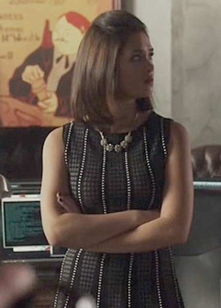 画像4: 【ドラマ使用】BCBGMAXAZRIA 　　VICTORIA SLEEVELESS A-LINE DRESS (4)