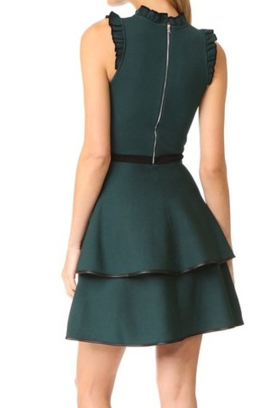 画像2: 【Jedediah Bila着用】Parker パーカー　Ryker Dress　グリーン系 (2)