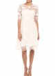 画像1: ドラマ【ビッグバンセオリー使用】Adrianna Papell　アドリアナパペル  Embroidered Grid Party Dress (1)