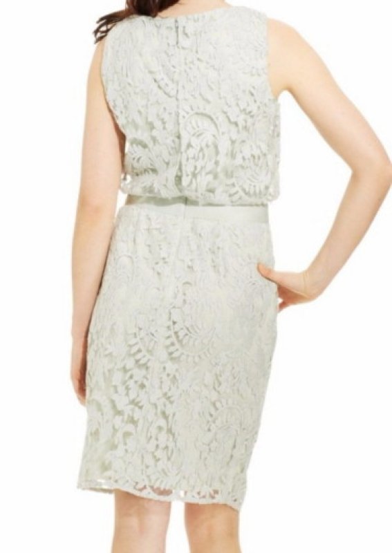 画像2: Adrianna Papell アドリアナパペル　Lace Blouson Dress ミント (2)