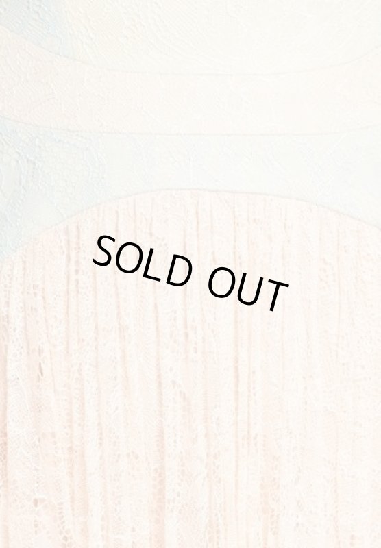 画像4: 【大石絵理さんに衣装提供】Adrianna Papell　アドリアナパペル　　colorblock chantilly lace dress (4)