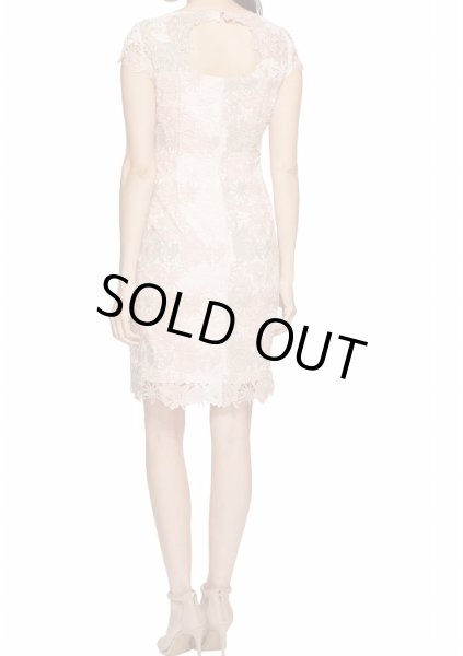 画像2: Tahari by ASL   レースカットアウトバックドレス (2)