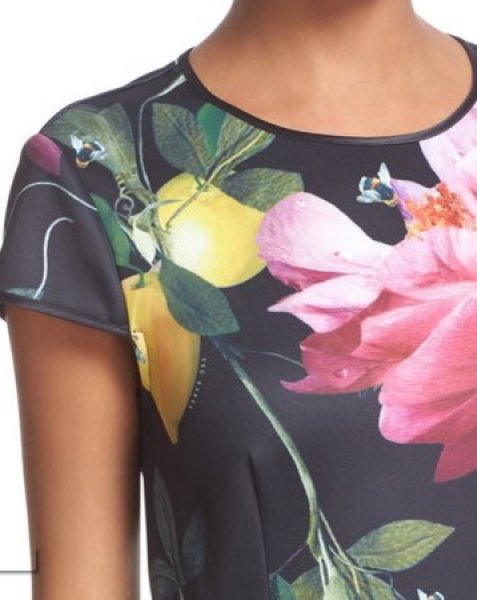 画像3: 【ドラマ使用】Ted Baker テッドベイカー  Allisia Print Skater Dress (3)