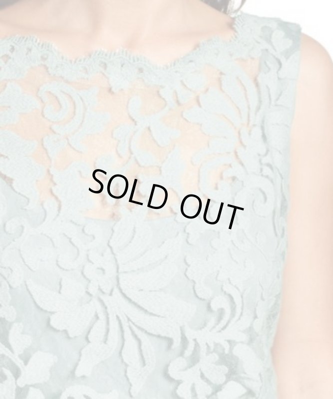 画像3: Tadashi Shoji タダシショージ    Lace Banded-Waist Gown　ブルー系　 (3)