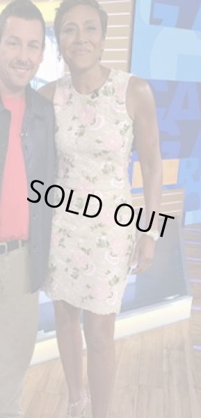 画像3: 【Robin Roberts着用】Calvin Klein カルバンクライン  Embroidered Lace Sheath Dress (3)
