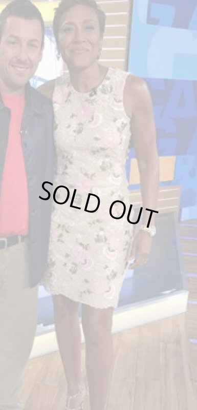 画像3: 【Robin Roberts着用】Calvin Klein カルバンクライン 　Embroidered Lace Sheath Dress (3)