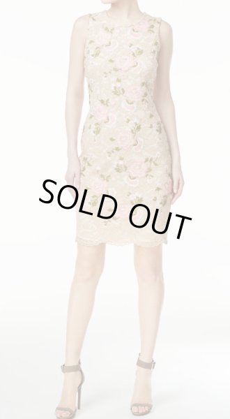 画像1: 【Robin Roberts着用】Calvin Klein カルバンクライン 　Embroidered Lace Sheath Dress (1)