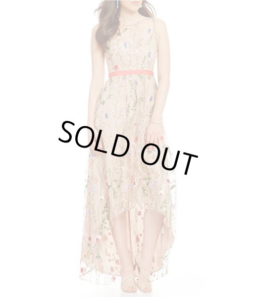 画像1: 【ドラマ使用】Adrianna Papell アドリアナパペル　Embroidered Tulle High-Low Gown (1)