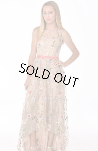 画像3: 【ドラマ使用】Adrianna Papell アドリアナパペル Embroidered Tulle High-Low Gown (3)