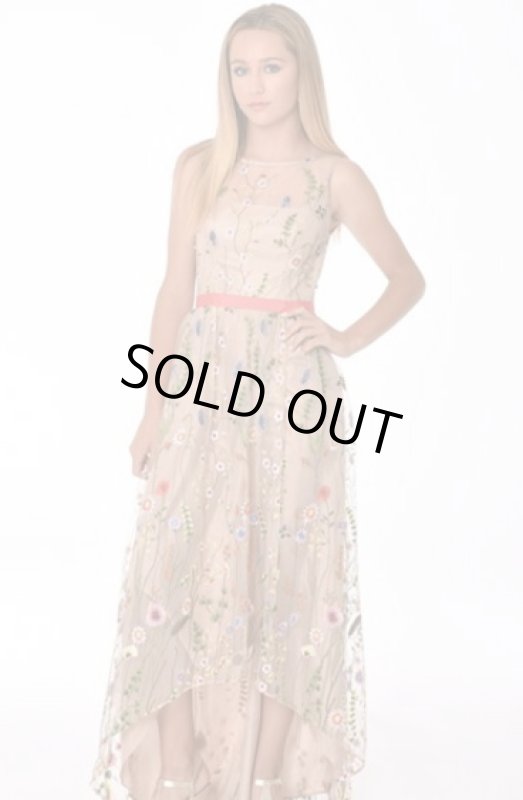 画像3: 【ドラマ使用】Adrianna Papell アドリアナパペル　Embroidered Tulle High-Low Gown (3)