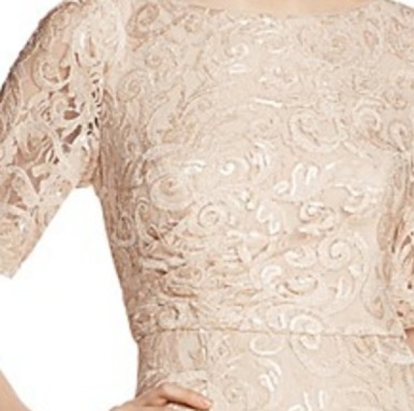 画像3: Adrianna Papell アドリアナパペル Illusion-Sleeve Embellished Lace Gown (3)