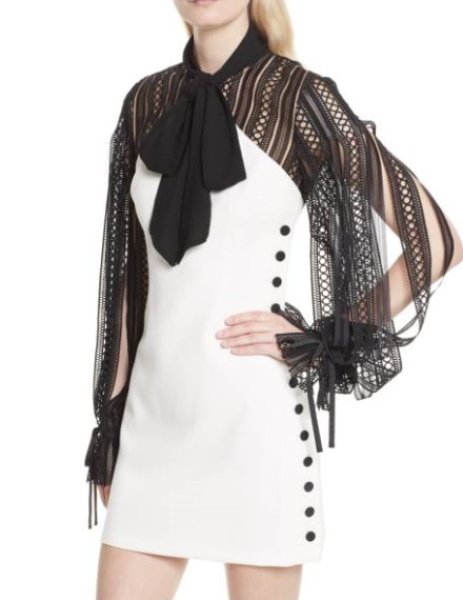 画像4: 【TWICE、デミムーア着用、ドラマ使用】Self Portrait セルフポートレイト レーススリーブミニドレス (4)