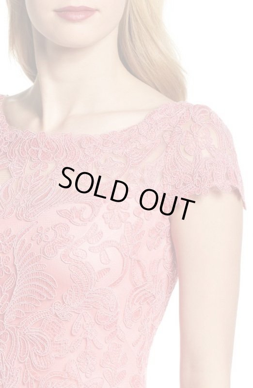 画像3: Tadashi Shoji     Lace Column Gown  ピンク系 (3)
