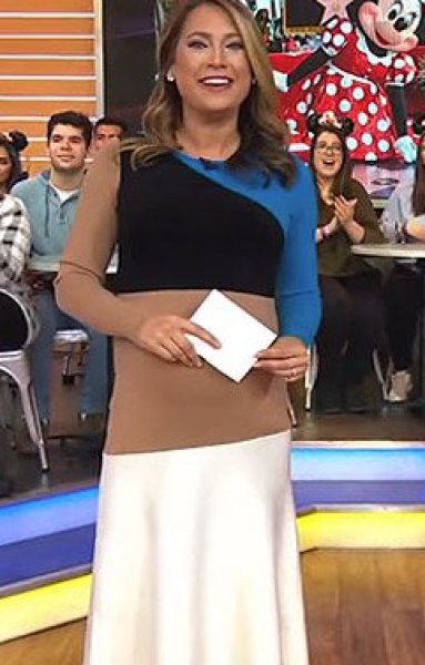 画像6: 【セレブ多数愛用】Diane von Furstenberg ダイアンフォンファステンバーグ カラーブロックニットドレス  10135 (6)