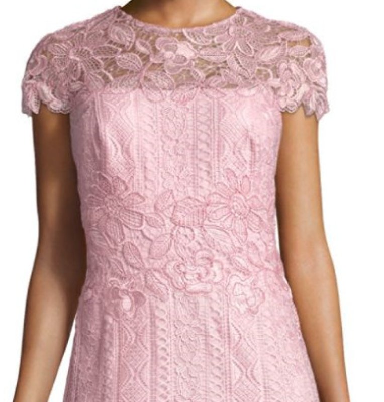 画像3: 【美的掲載】Tadashi Shoji タダシショージ　Short Sleeve Lace Dress　ピンク系 (3)