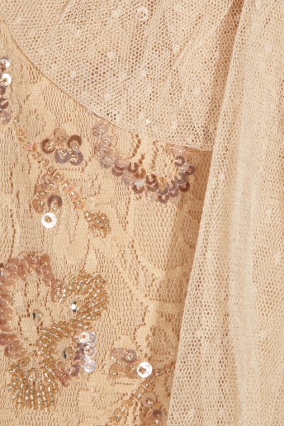 画像6: 再販売！【井上真央さんご着用】Red Valentino　ビーズ刺繍レースドレス (6)
