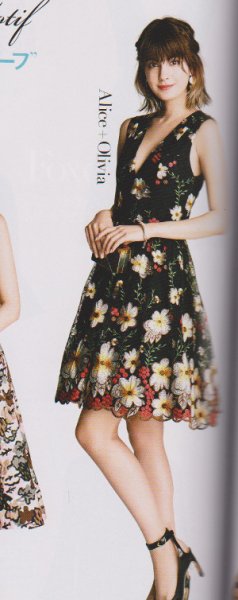 画像4: 再販売【ヴァンサンカン掲載】Alice + Olivia アリスアンドオリビア  Becca Embroidered Pouf Dress (4)