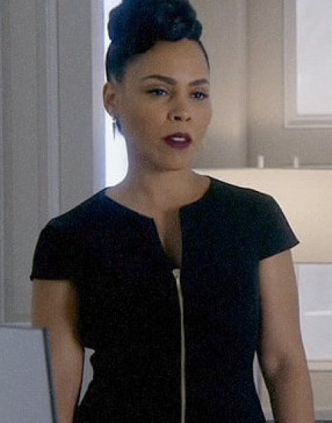 画像6: 【ドラマ多数使用】Ted Baker   Architectural Pencil Dress ブラック (6)