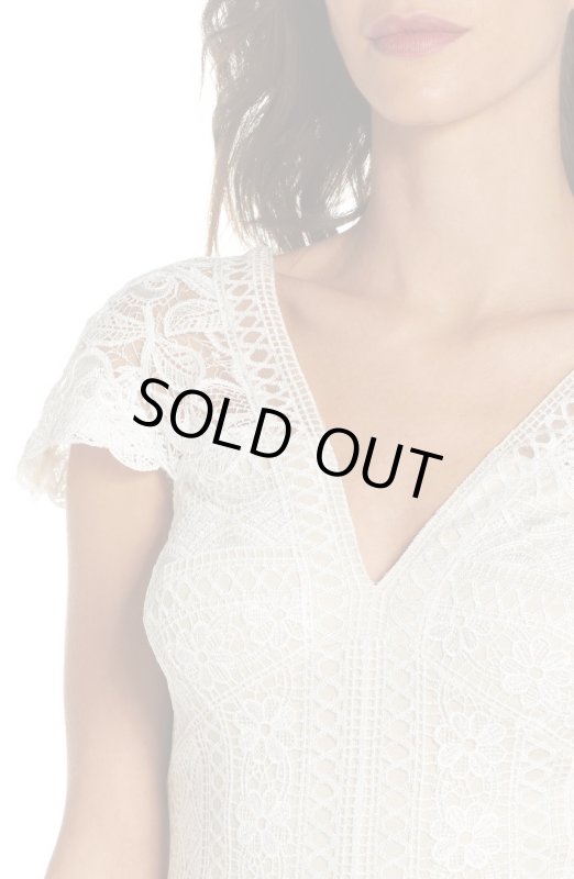 画像3: Tadashi Shoji  タダシショージ  Mixed Lace Fit & Flare Dress アイボリー (3)