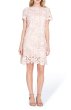 画像1: 【Kathie Lee Gifford着用】Tahari by ASL  　 Lace Shift Dress  (1)