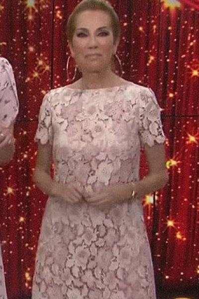 画像3: 【Kathie Lee Gifford着用】Tahari by ASL    Lace Shift Dress  (3)