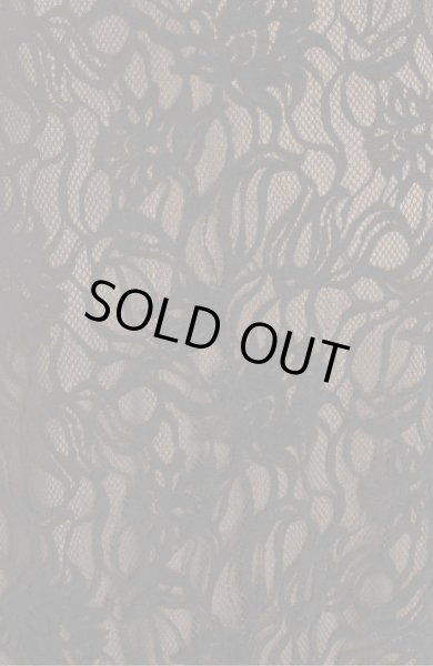 画像4: 期間限定50%オフ!【とよた真帆さん着用】Tadashi Shoji タダシショージ   パーティードレス Burnout Lace Gown ブラック (4)