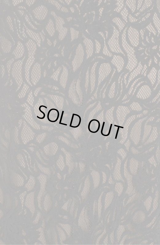 画像4: 期間限定50%オフ！【とよた真帆さん着用】Tadashi Shoji タダシショージ   パーティードレス　Burnout Lace Gown ブラック (4)