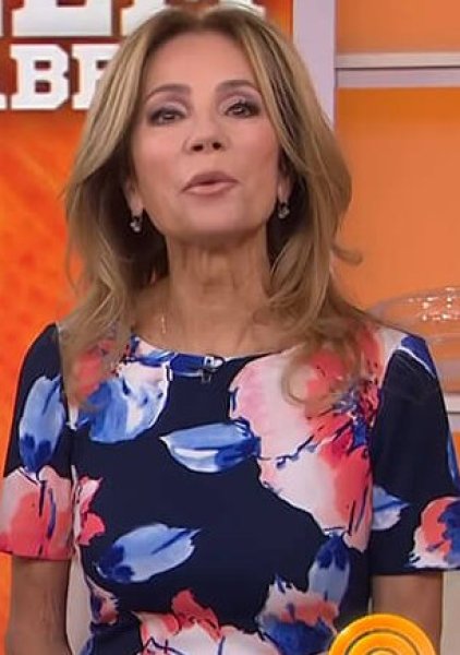 画像3: 【Kathie Lee Gifford着用】Tahari by ASL   Floral Scuba Crepe Sheath Dress  (3)