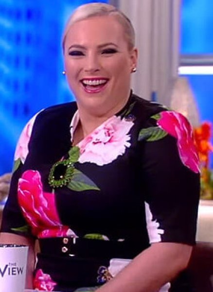 画像5: 【Amy Robach 、Meghan McCain着用】Ted Baker テッドベイカー  Gilanno Dress  07012 (5)