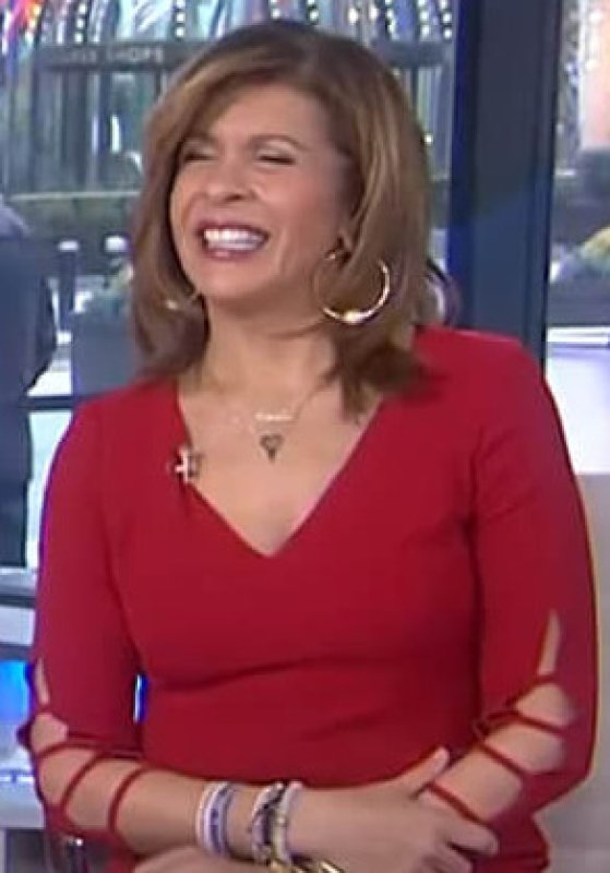 画像3: 【Hoda Kotb愛用】Adrianna Papell アドリアナパペル　Three Quarter Sleeve Sheath Dress　レッド (3)