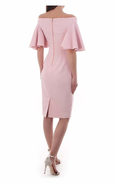 画像2: 【雑誌掲載】Ted Baker テッドベイカー CALINDA dress ピンク  21503 (2)