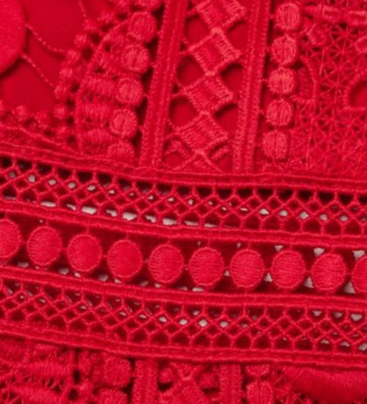 画像4: 【Eve着用】Alice + Olivia アリスアンドオリビア　 Zula Lace Minidress (4)